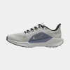 Изображение AIR ZOOM PEGASUS 41
