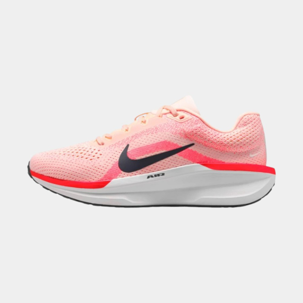 Изображение WMNS NIKE AIR WINFLO 11