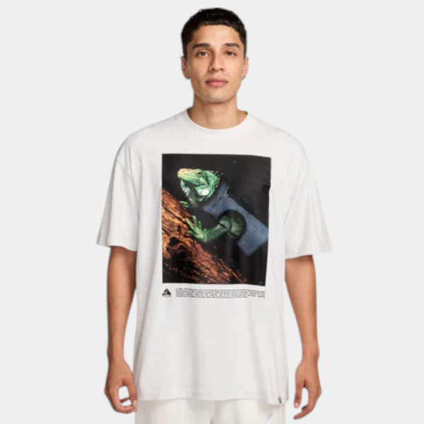 Изображение ФУТБОЛКА M ACG DF TEE OC IGUANA VEST