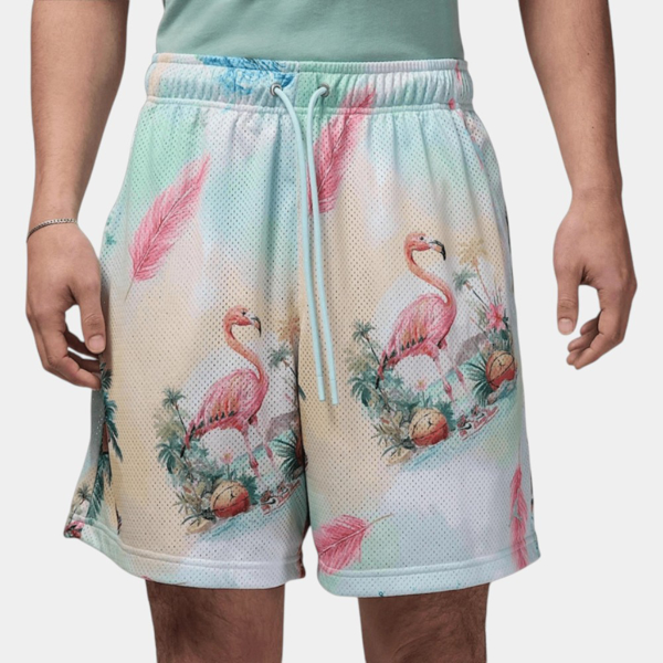 Изображение ШОРТЫ M J ESS SMR PK AOP MSH SHORT