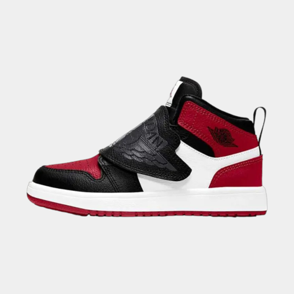 Изображение SKY JORDAN 1 BP